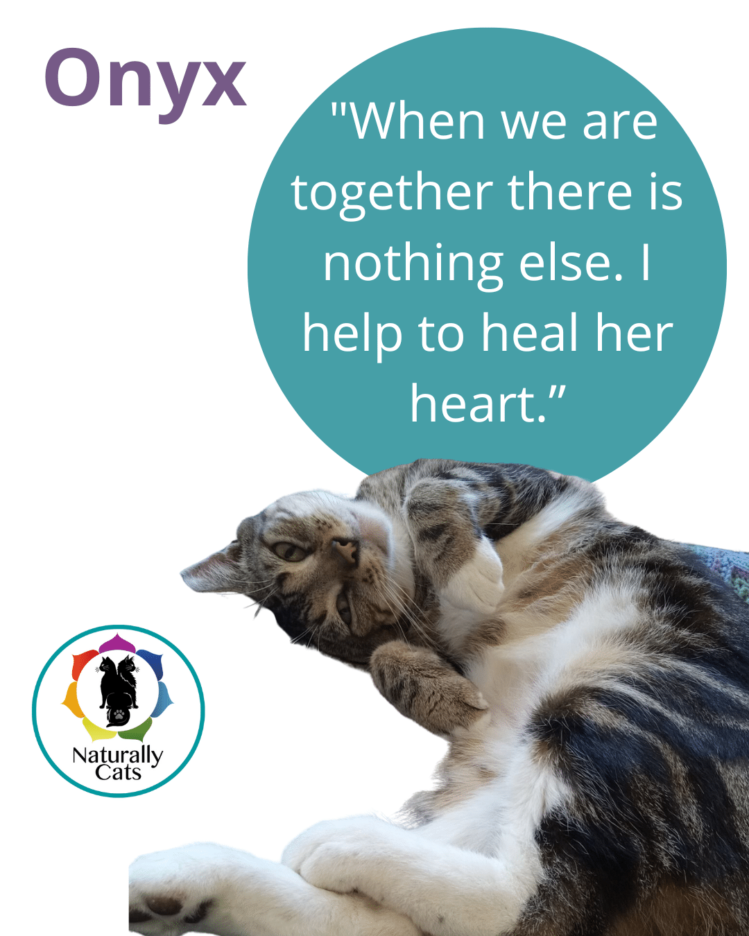 Cat chakra cleanse & re-balance treatment - Image 5