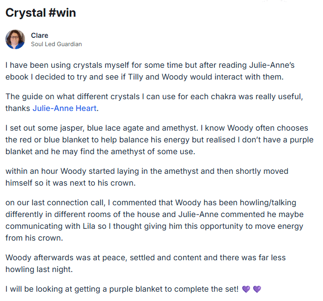 e-BOOK: Cats & Crystals: How to use crystals safely with your cat - Image 5