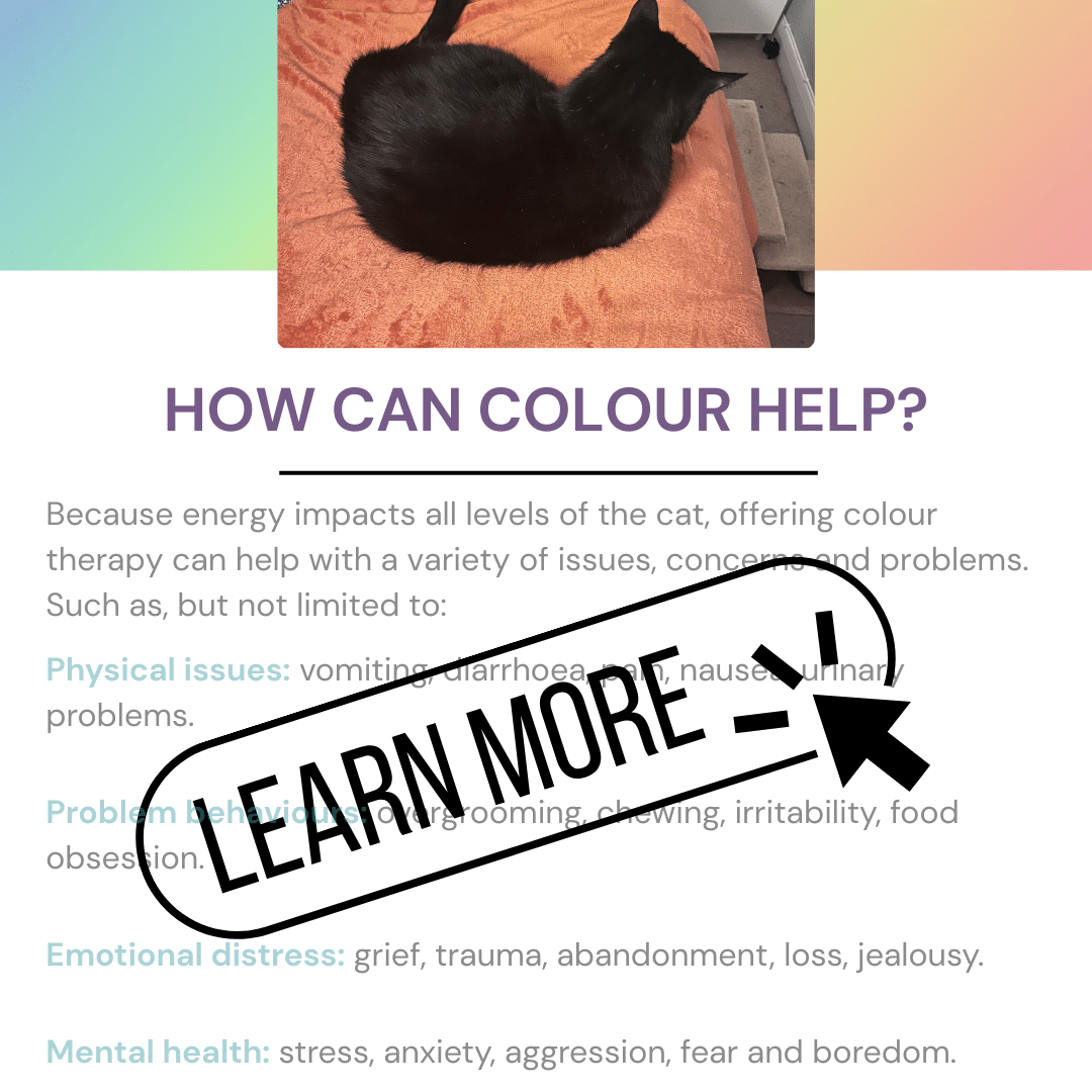 e-BOOK: Cats & Colour therapy : How to use colour therapy to help your cat thrive - Image 3