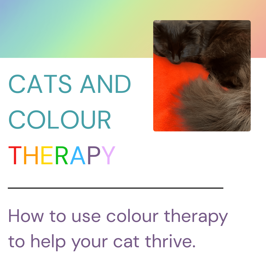 e-BOOK: Cats & Colour therapy : How to use colour therapy to help your cat thrive - Image 2