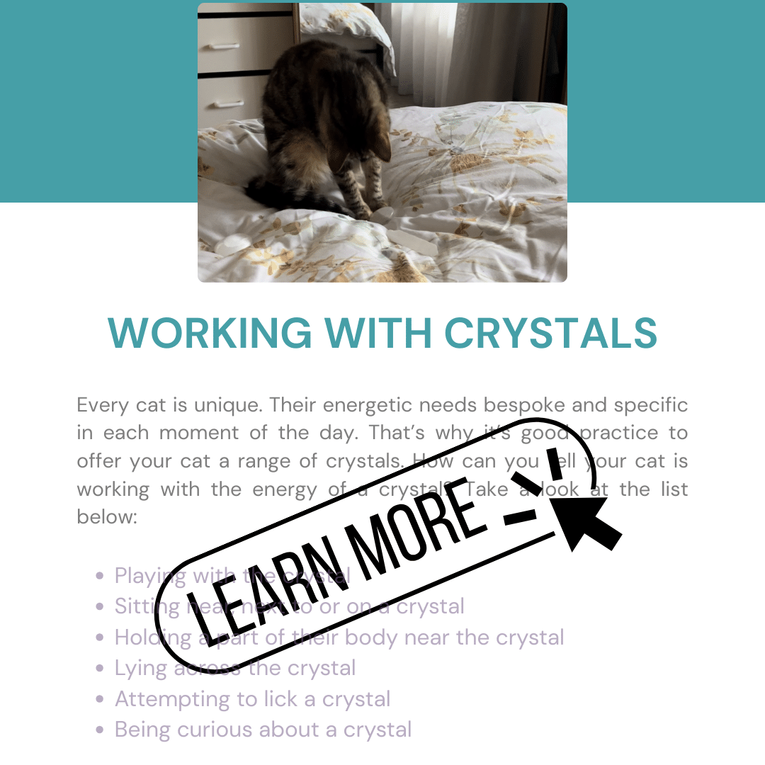 e-BOOK: Cats & Crystals: How to use crystals safely with your cat - Image 3