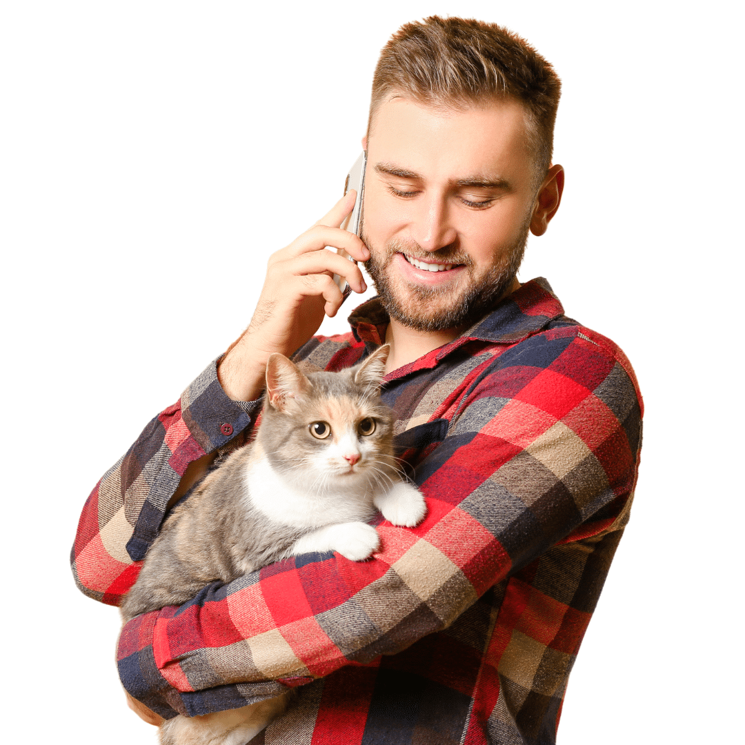 Learn cat communication - WEBINAR
