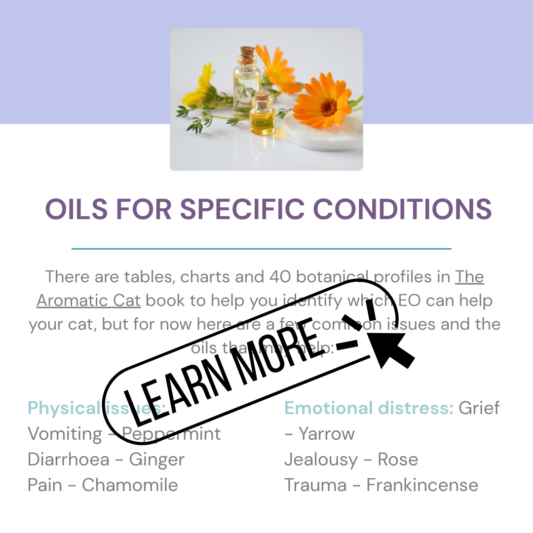 e-BOOK: Cats & Essential Oils : How to safely use essential oils with your feline friend - Image 4