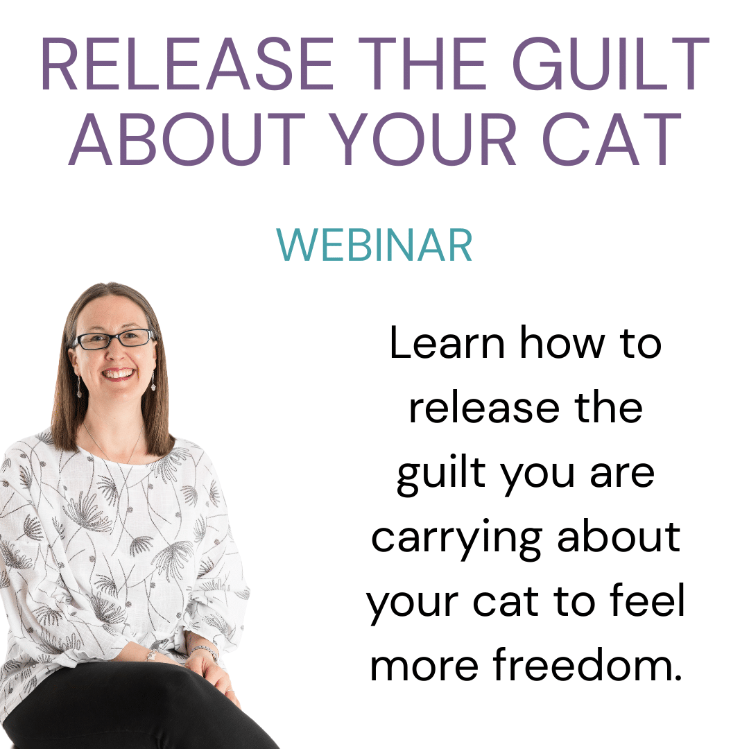 Release the guilt about your cat - WEBINAR - Image 2
