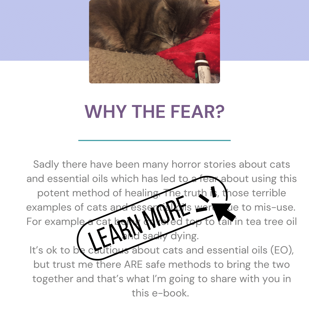 e-BOOK: Cats & Essential Oils : How to safely use essential oils with your feline friend - Image 3