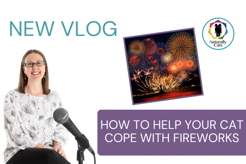 How to Help Your Cat Cope with Fireworks 3 Natural top tips